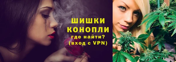 бошки Алексин