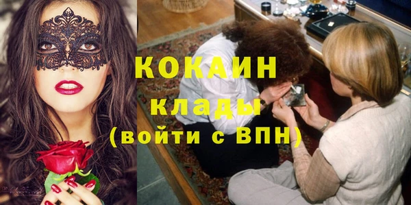 прущие грибы Абинск