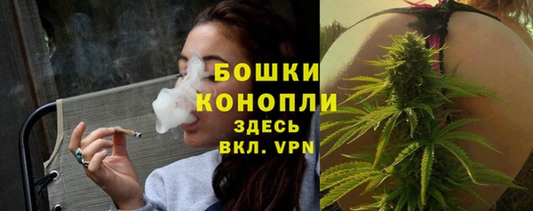 бошки Алексин