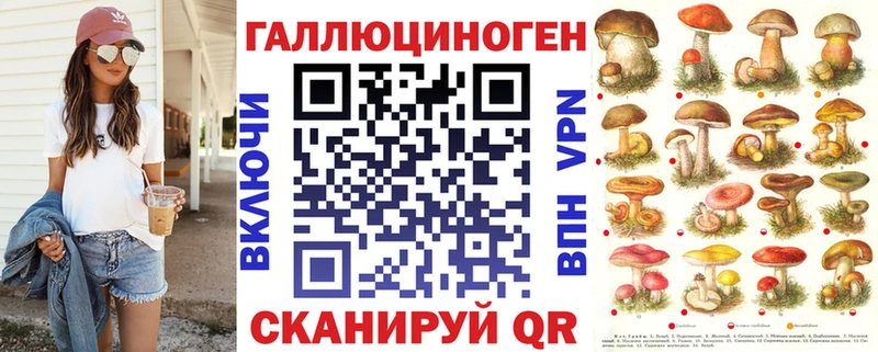 гидра   где можно купить   Сухой Лог  Галлюциногенные грибы Psilocybe 